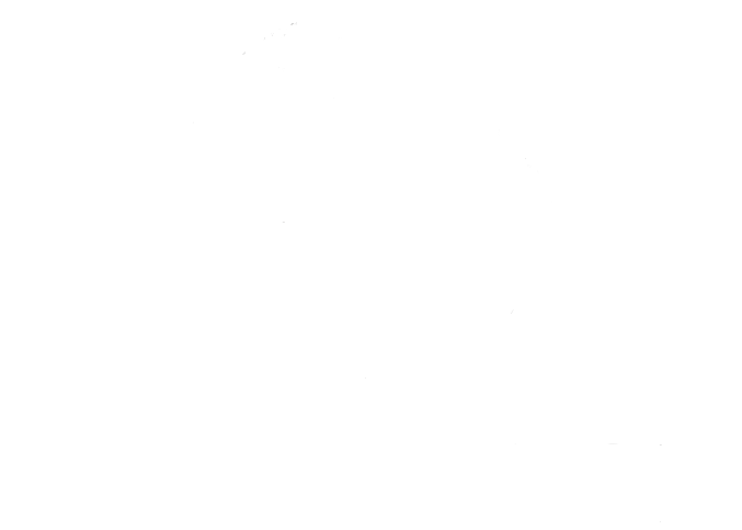 Comercio Mundial de Carnes | Super Food